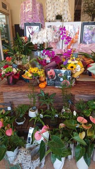 「はなまさ」　（福岡県直方市）の花屋店舗写真2